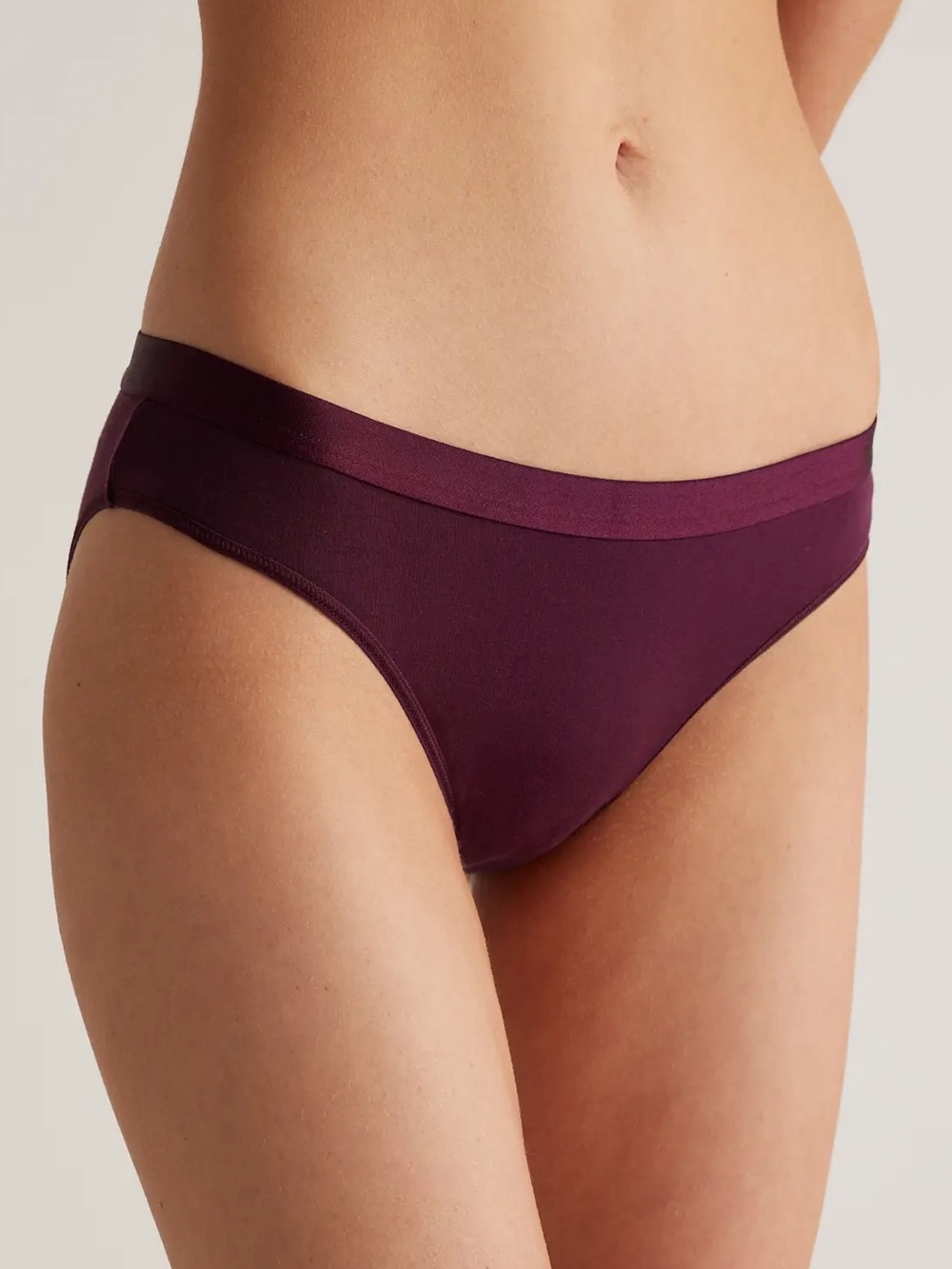 NWT Quince Micromodal Bikini in Syrah (6-pack) Size Extra Small